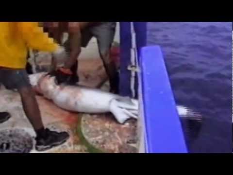 YouTube Preview Image