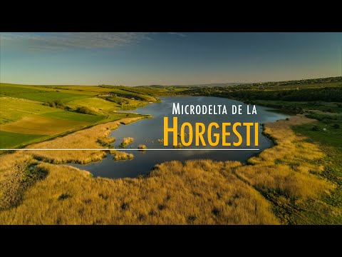 Microdelta de la Horgesti