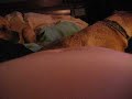 belly moving