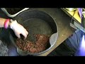 How Do You Harvest Worms How Do You Harvest Worms