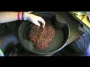 how to harvest earthworms