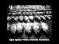 Alain Resnais - Hiroshima Mon Amour (opening scene, hungarian subtitles)