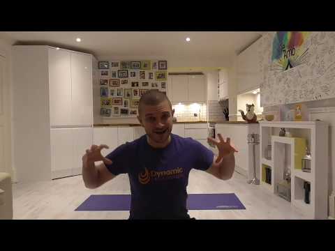 DIYP 17: Yoga Fundamentals (All)