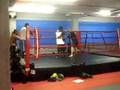boxer vs mma