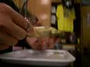 Frog Disection Video #1 Frog Disection Video #1