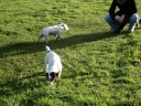 Rencontre de Jack