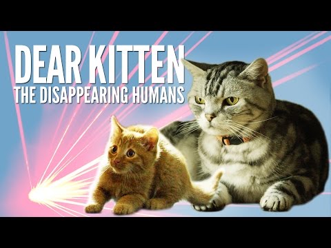 Dear Kitten: The Disappearing Humans – Purina® Friskies