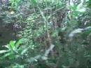 tempestad TRIVAL