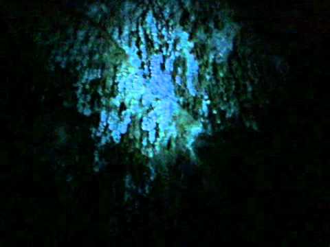 how to dye spanish moss