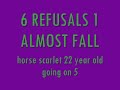 scarlets show jumping round