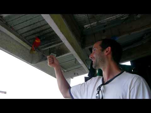 Elan's Parrot Trick