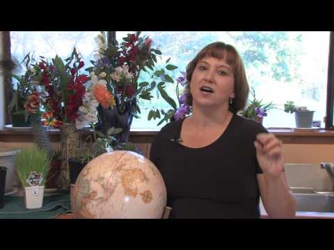 how to plant a rabbit foot fern