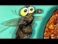 Tortures for Flies: Motivational Rip-Off