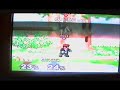 Checkmate: A Doctor Mario Combo Video