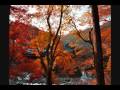 korankei(momiji)
