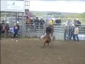 me steer riding at cody snyders bull busting bramha-rama me steer riding at cody snyders bull busting bramha-rama