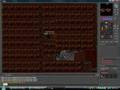 tibia moresk