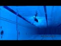 Ian Thorpe swimming freestyle 5 - front view