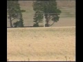 Click here to watch this video Southern Cross Television - News Rushes 29/6/1997, Pt. 2