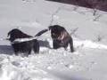 Jack & Tess Hike VI - YouTube