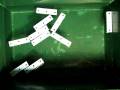 videos de MVI_0878.AVI