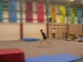 Nikk proffitt sideflip sampler