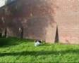 Nikk proffitt sideflip sampler