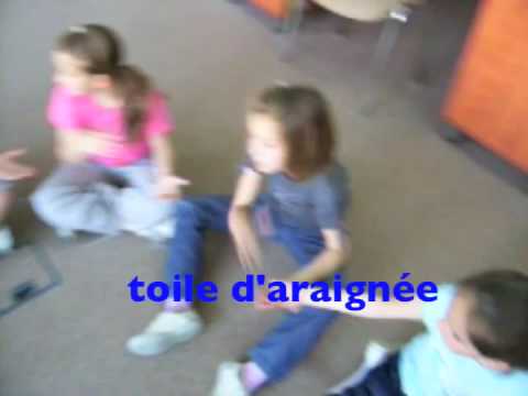 Un éléphant