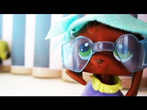 pet