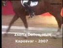 Zsófia Dallos World Cup Dressage Kaposvar 2007