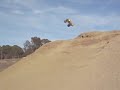 Bashing Team Losi Muggy, Insane Jumps