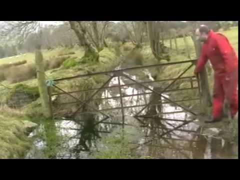 how to drain boggy land