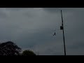 Fiona's ZipLine over the Tay