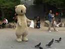 6.1(sun) 警固公園に出現したフェレット