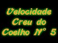 "Dança do Creu-elho no Gatinho - Thumb #3