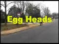 Egg Heads