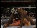 kamala vs moondog spot