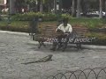 Dragon of Equador