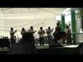 POLLOS La Zafra (son jarocho)