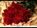 Lepa Brena-Udi slobodno...2008