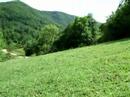 Rodopi - statichna kartina :-) Rodopi - statichna kartina :-)