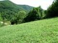 Rodopi - statichna kartina :-)