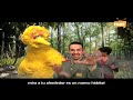 40 años de Plaza Sésamo