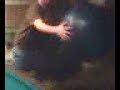 My Big Blue Ball and vision camera (andrew getting smacked)