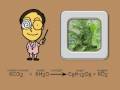 MY FAVE SONG: THE PHOTOSYNTHESIS SONG