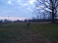 Ridin Horses in Michigan
