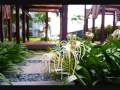 Click here to watch this video Zehn Bukit Pantai, Bangsar, Kuala Lumpur.