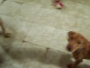 jengo spin.