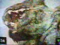 muchacho-satanico-video-oficial.html