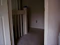 Silly pit Bull running with his Toy Puppy